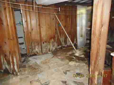 19385 Dresden (13)_m.jpg